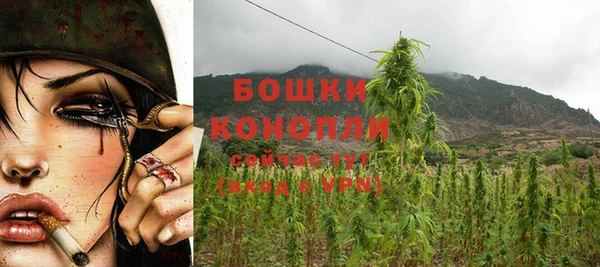 индика Аркадак