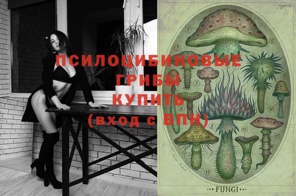 индика Аркадак