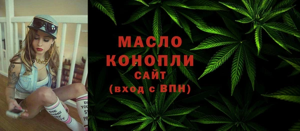 индика Аркадак
